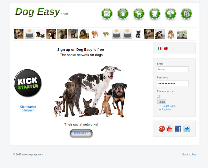 chat for dog