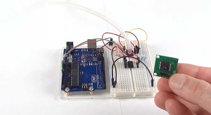 inside dog mouse