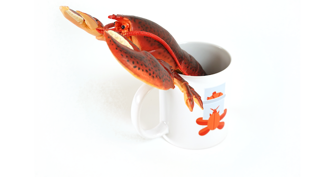 Lobster painkiller