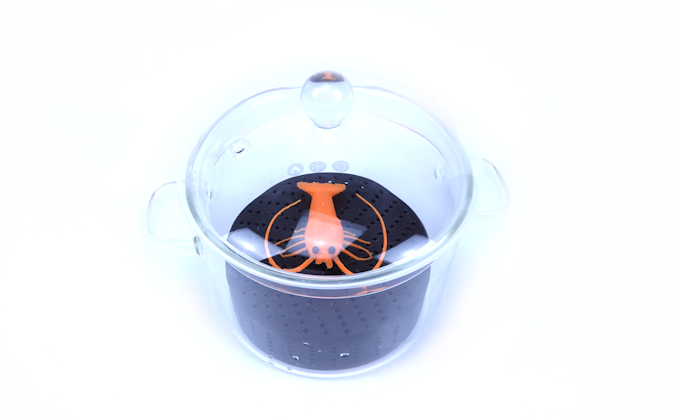 lobster transparent